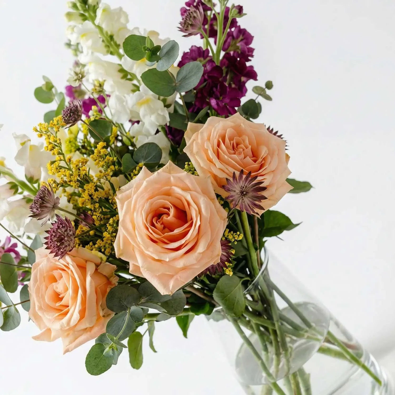 The Dewdrop Dawn - Image 3