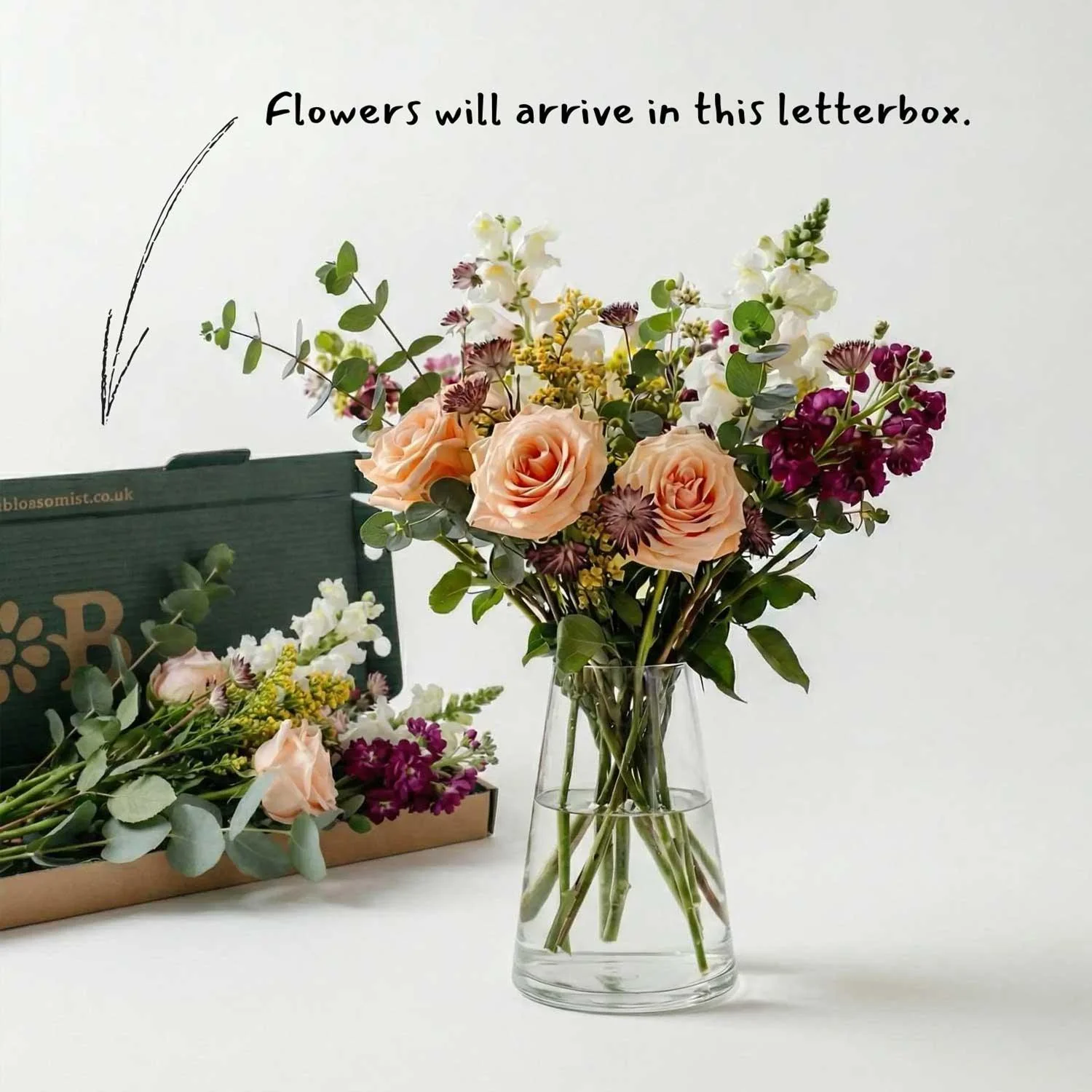 The Dewdrop Dawn - Image 4