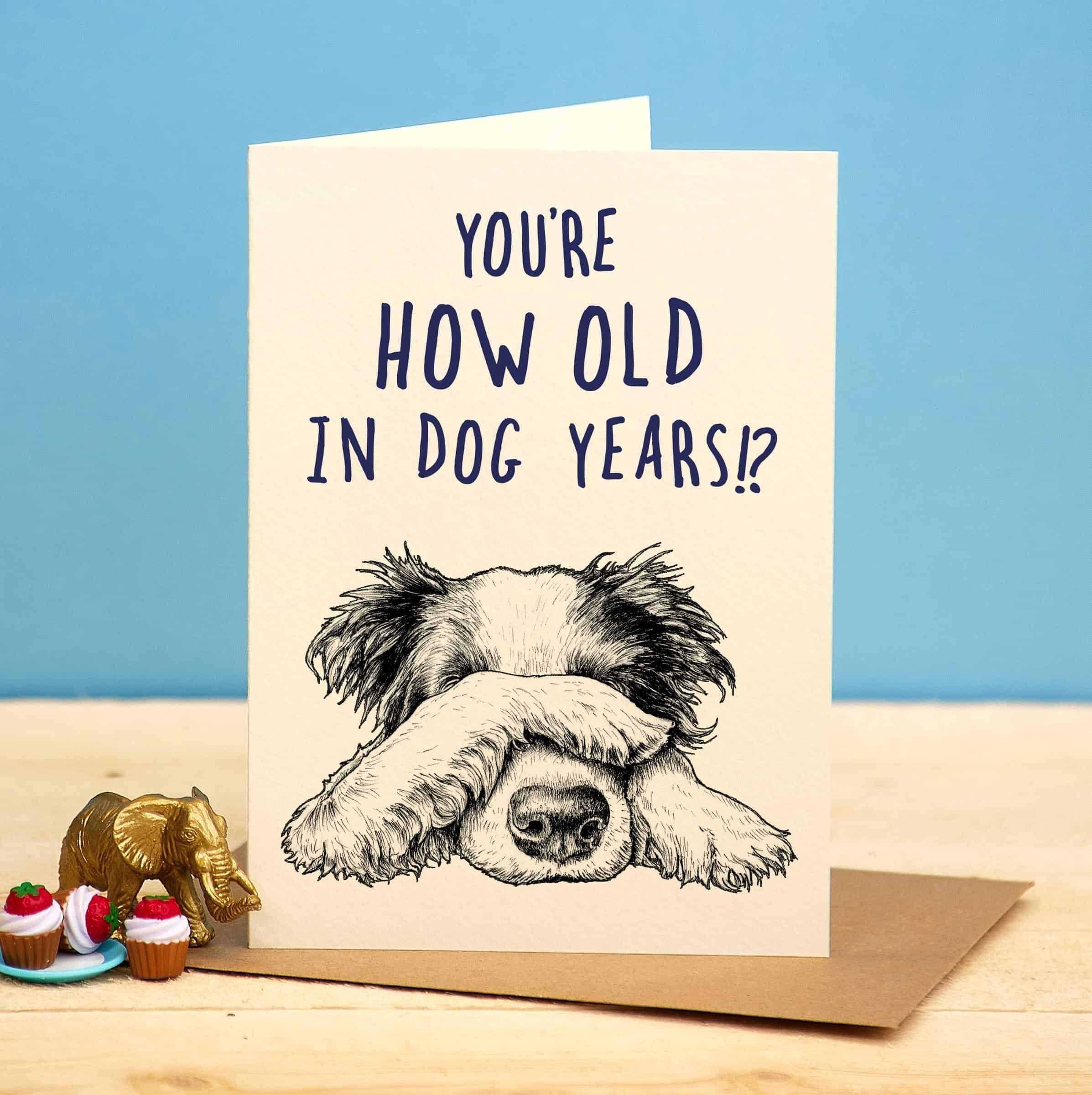Dog Years Card - Birthday Card - Image 3