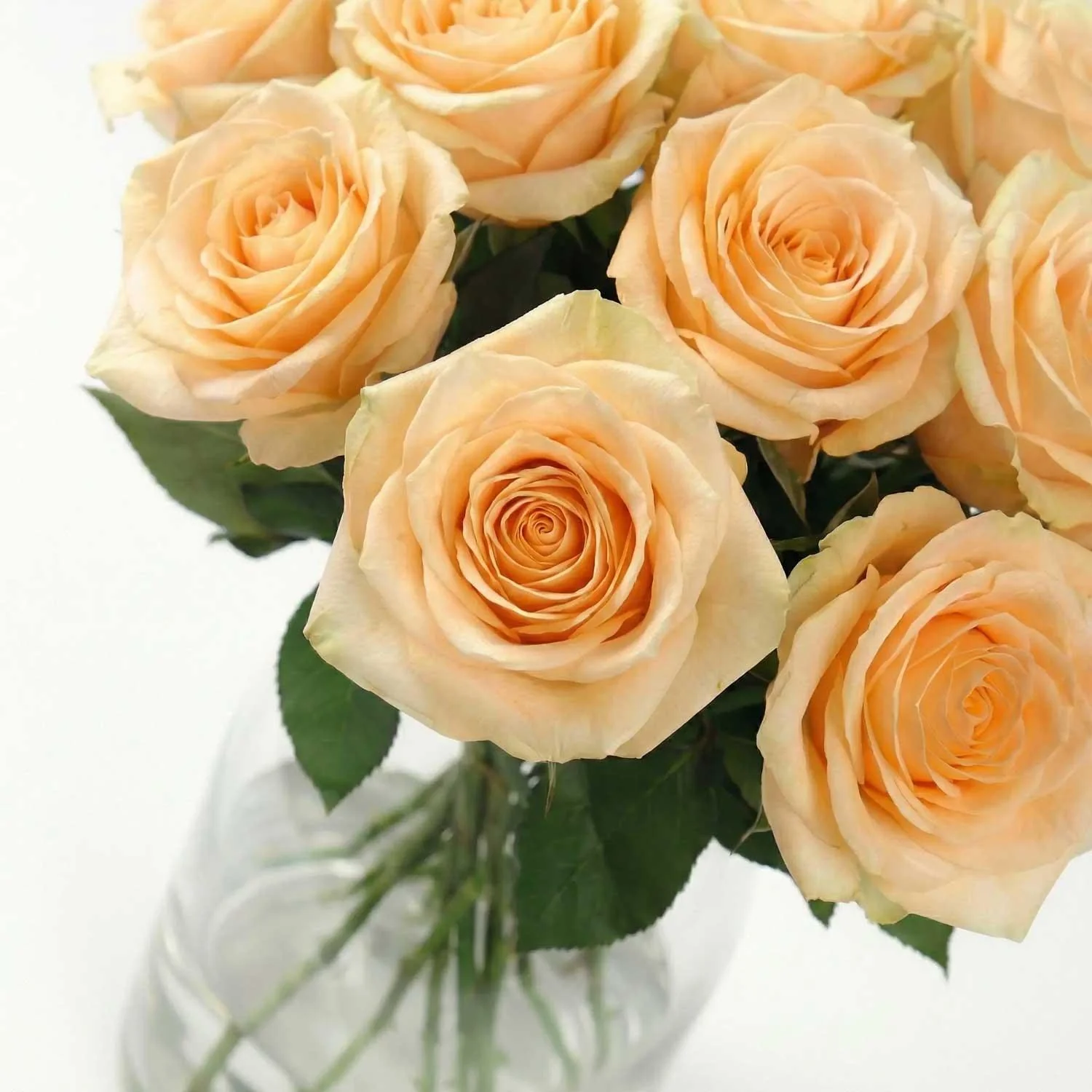 Peach Avalanche Rose Bouquet - Image 3