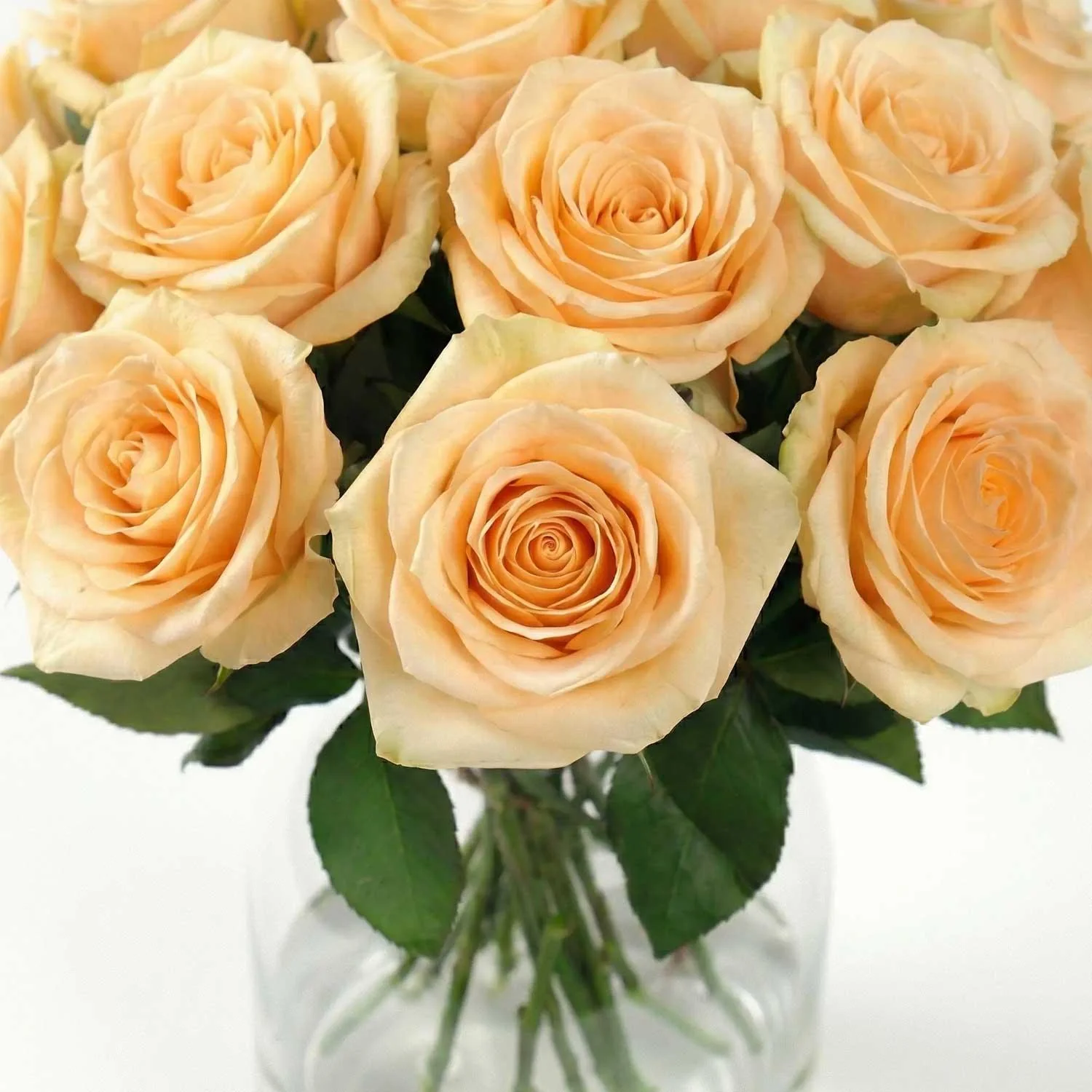 Peach Avalanche Rose Bouquet - Image 4