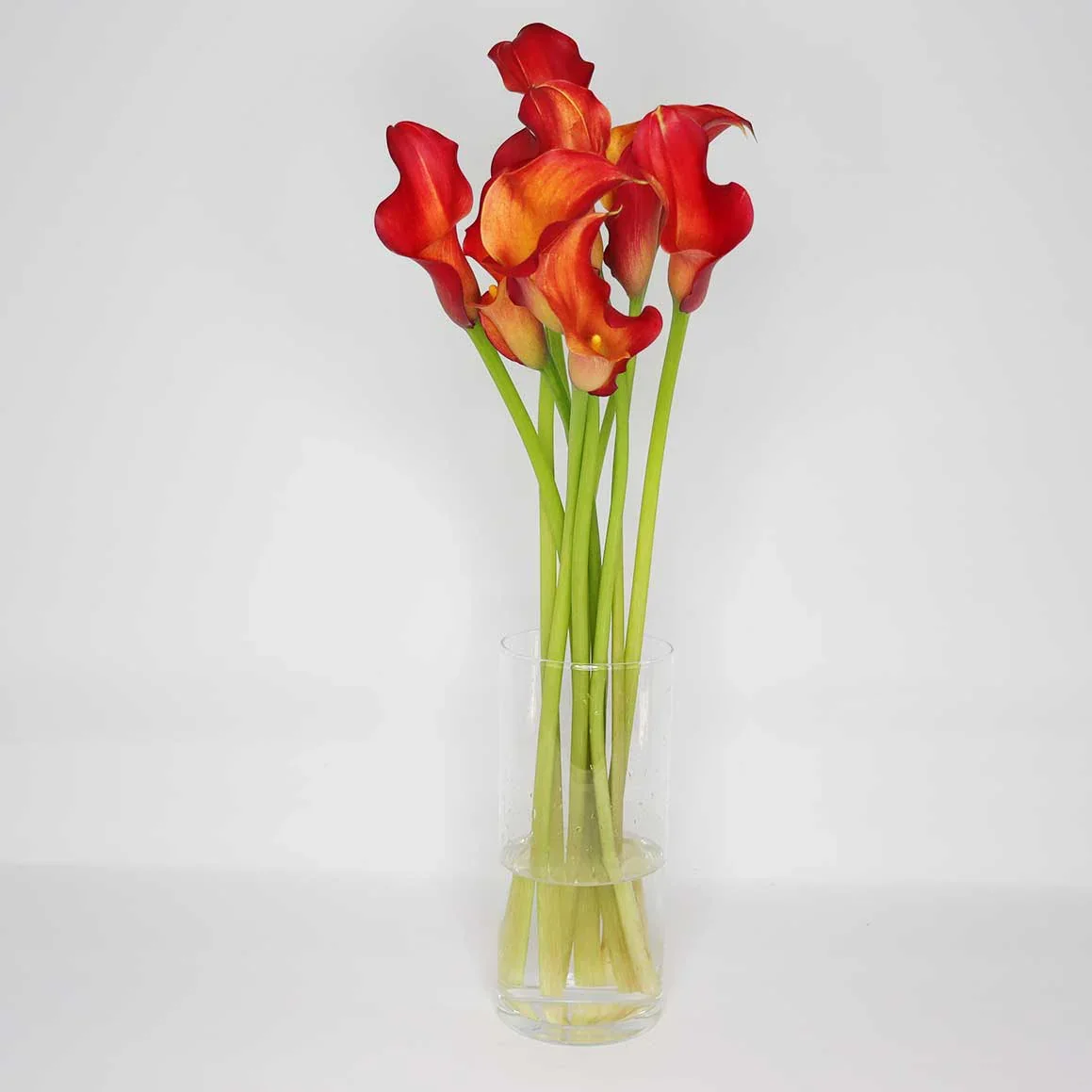 Orange Calla Lily - Image 3