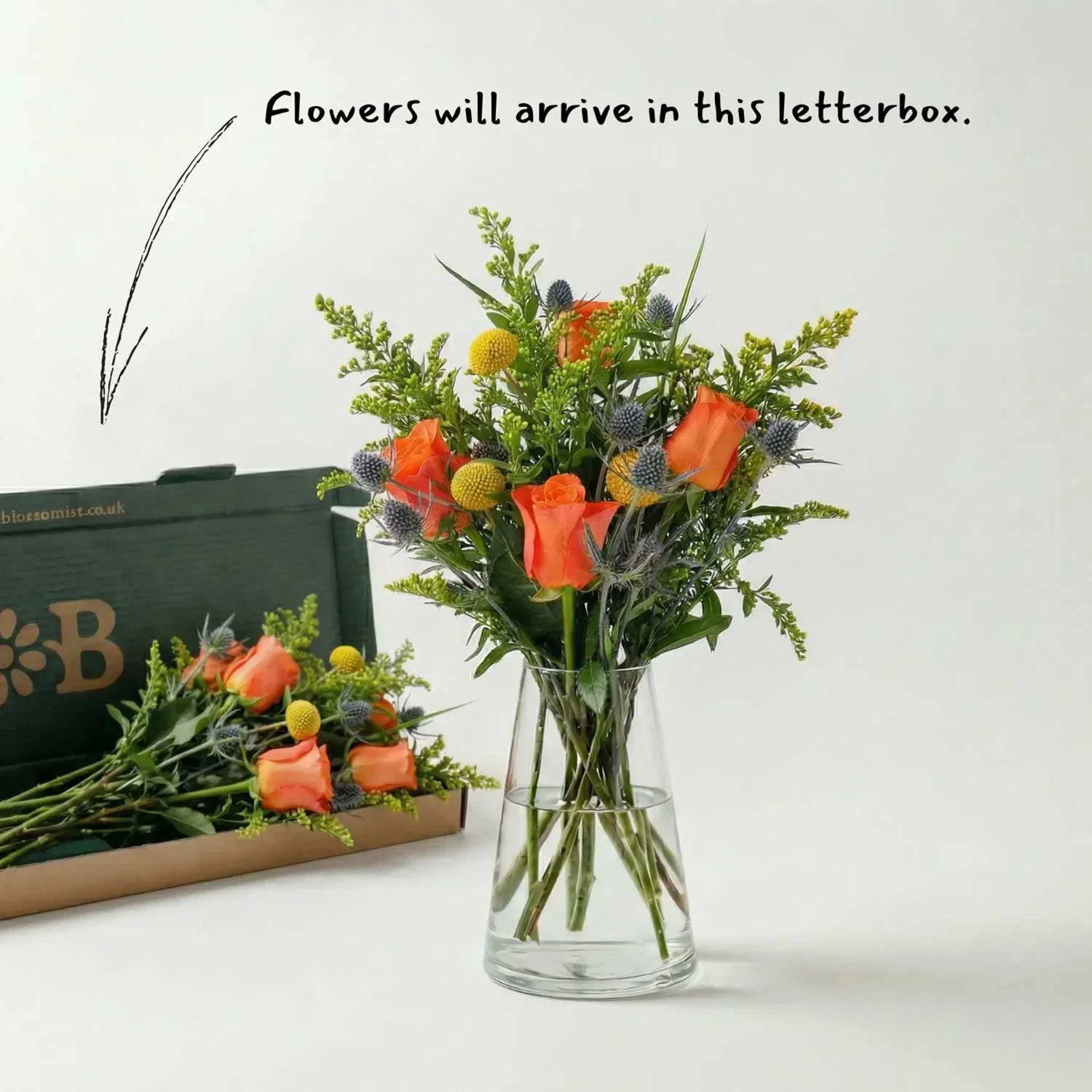 The Margot - Image 4