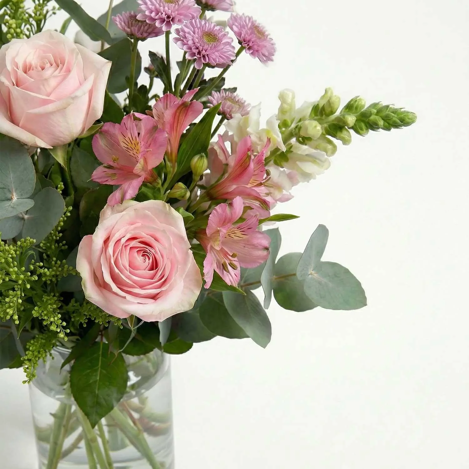 Letterbox Roses - Image 3