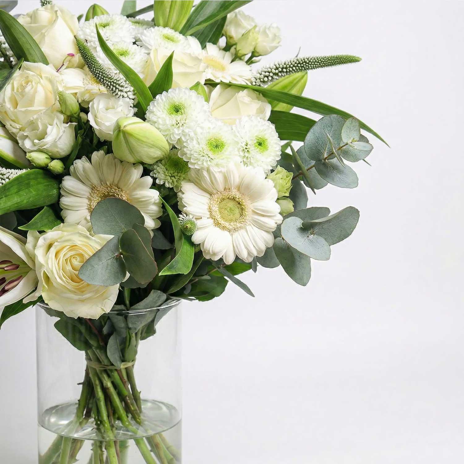 The Serenity - Image 3