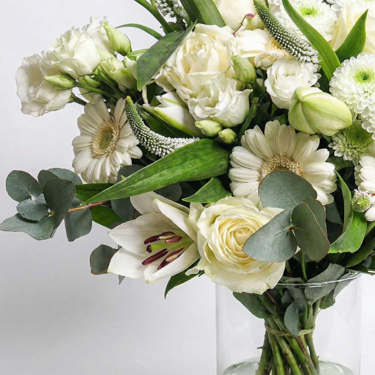 The Serenity - Image 4