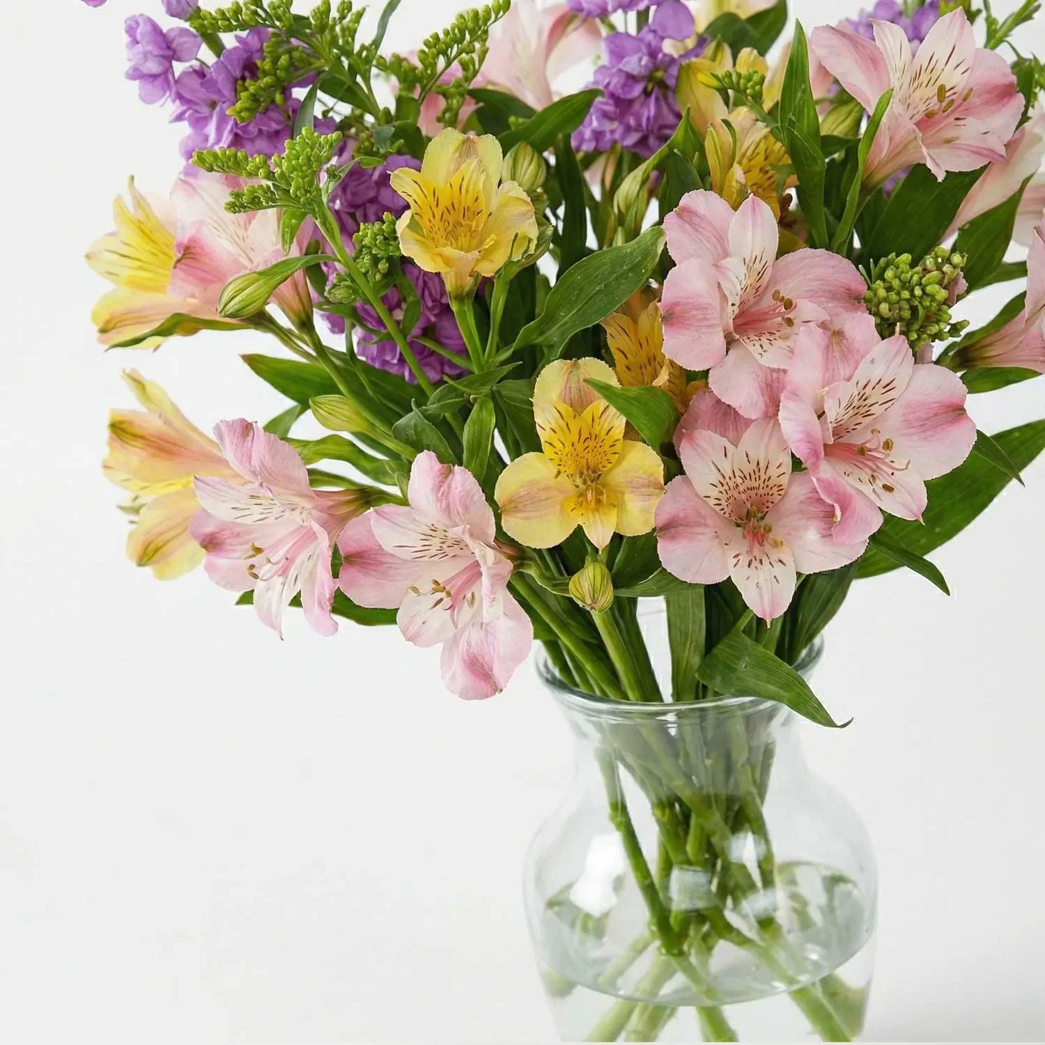 The Cotton Candy - Image 3