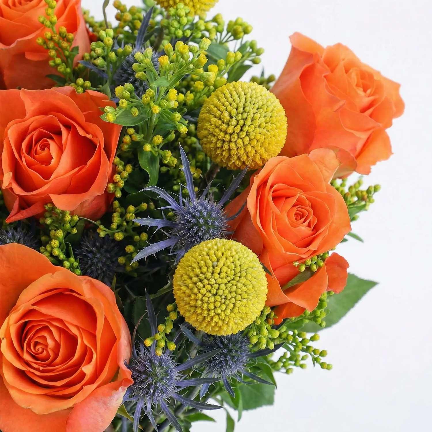 The Firecracker - Image 3