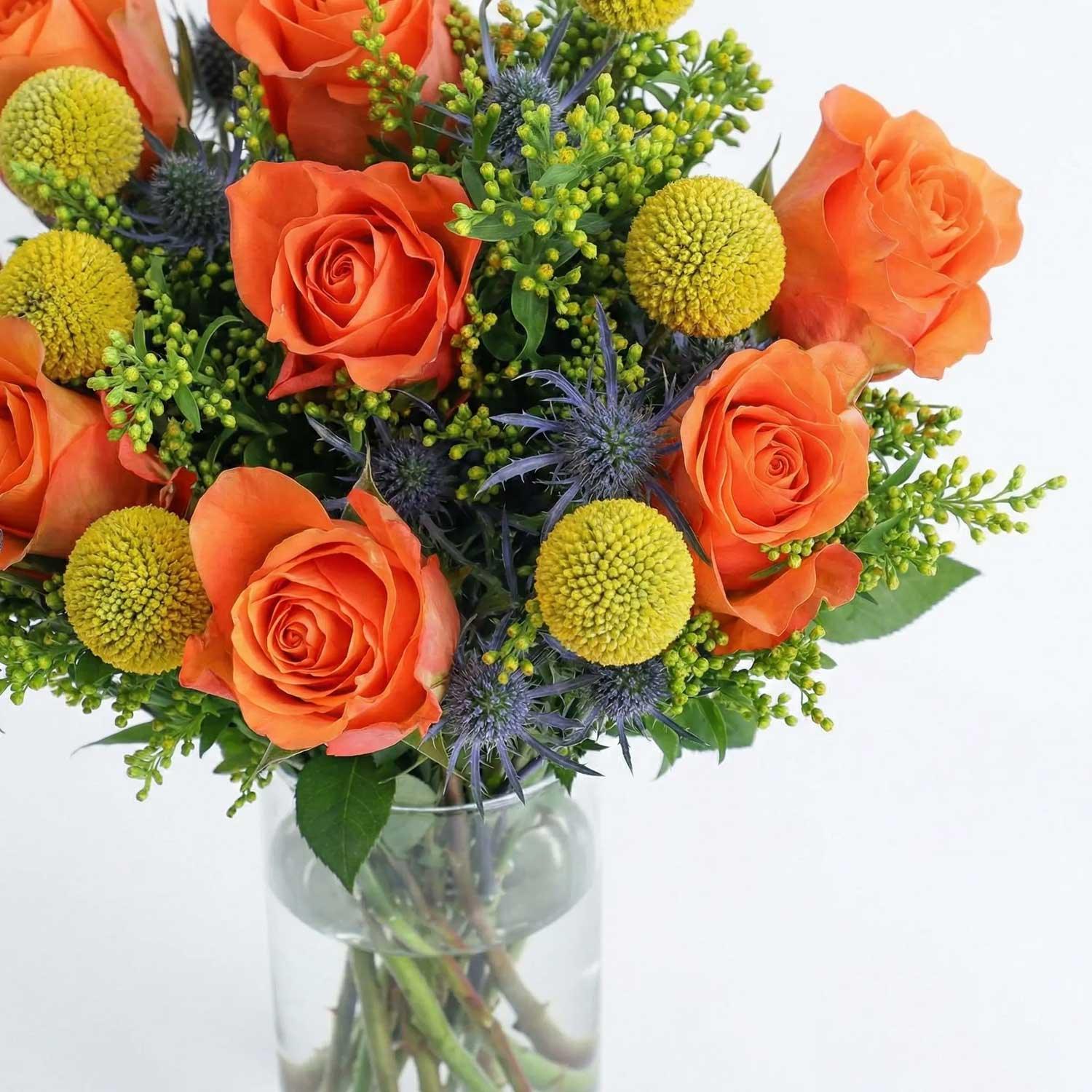 The Firecracker - Image 4