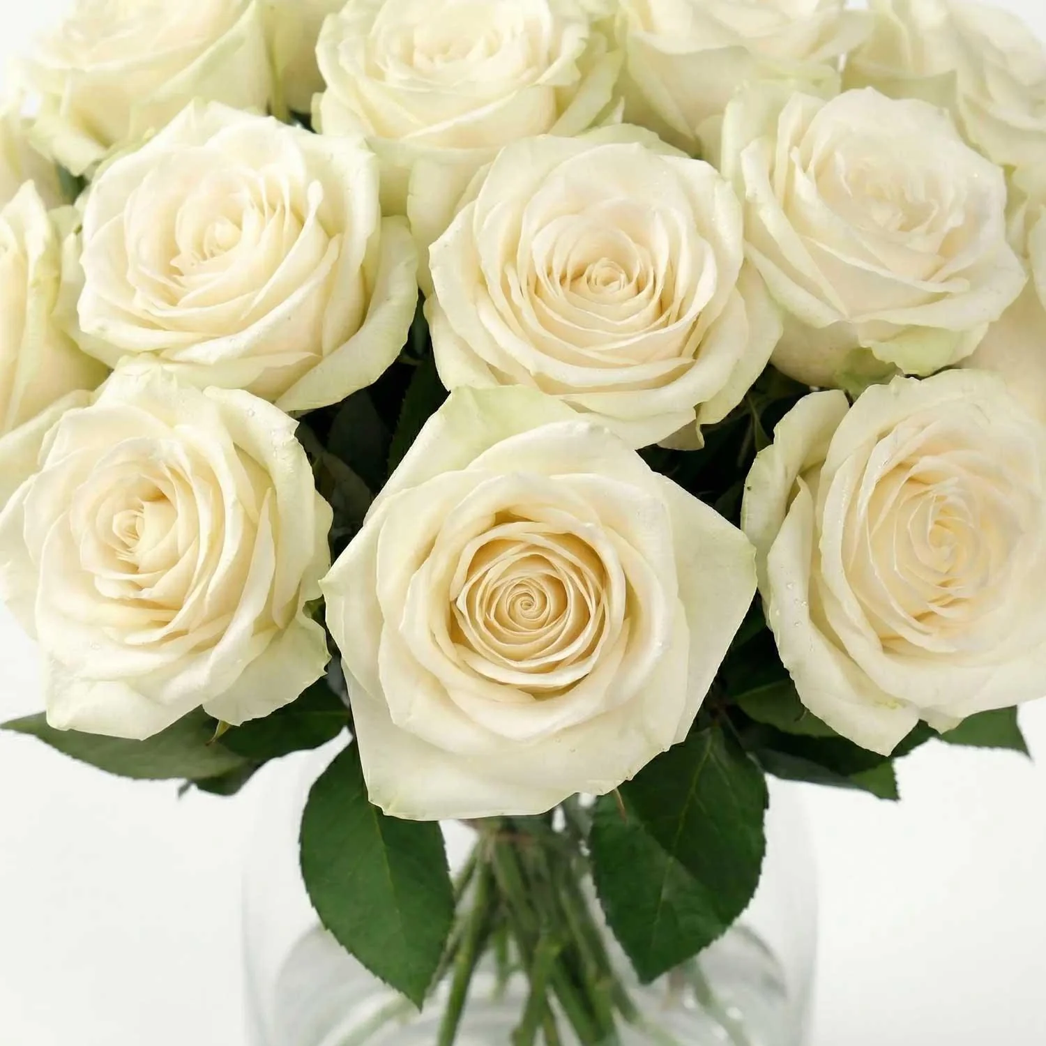 White Rose Bouquet - Image 4